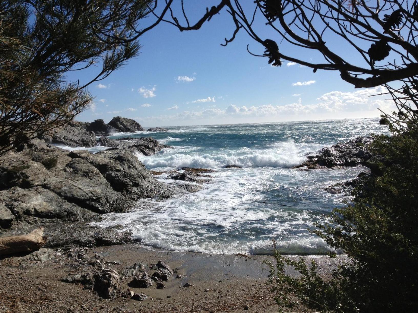 Villa Batelo Six-Fours-les-Plages Bagian luar foto